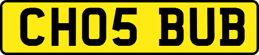 CH05BUB