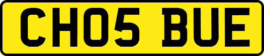 CH05BUE