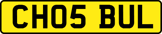 CH05BUL