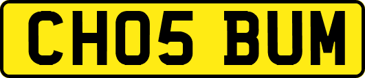 CH05BUM