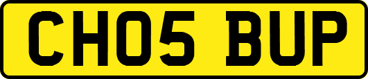 CH05BUP