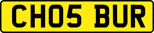 CH05BUR