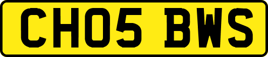 CH05BWS