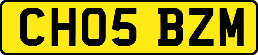 CH05BZM