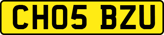 CH05BZU