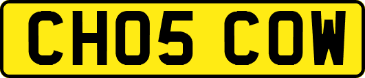 CH05COW