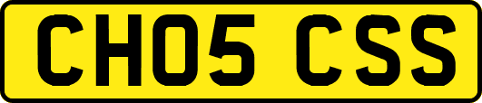CH05CSS