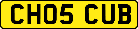 CH05CUB