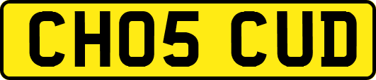 CH05CUD