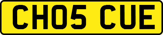 CH05CUE