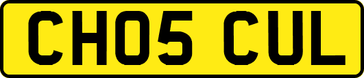 CH05CUL