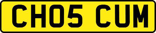 CH05CUM