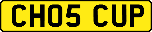 CH05CUP