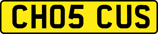 CH05CUS