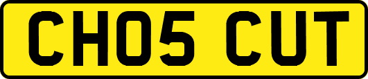 CH05CUT