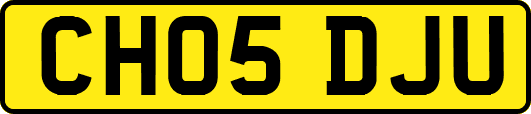 CH05DJU