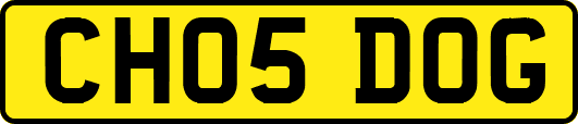 CH05DOG