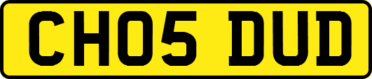 CH05DUD
