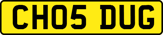 CH05DUG