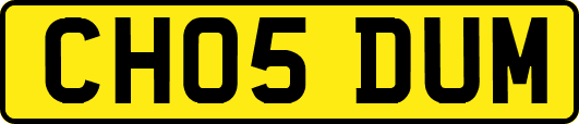 CH05DUM