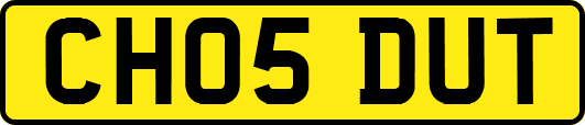 CH05DUT