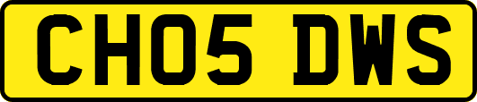 CH05DWS