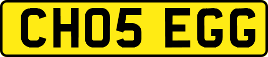 CH05EGG