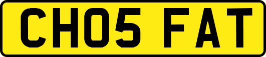 CH05FAT