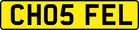 CH05FEL