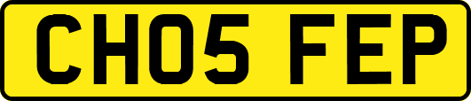 CH05FEP