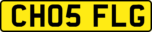 CH05FLG