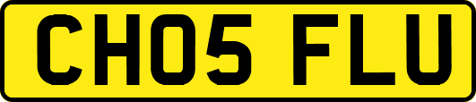 CH05FLU