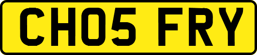 CH05FRY