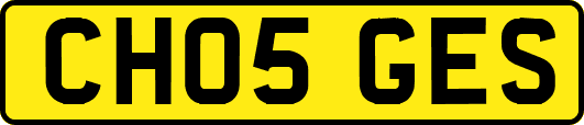 CH05GES