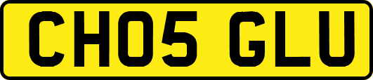 CH05GLU