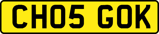CH05GOK