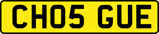 CH05GUE