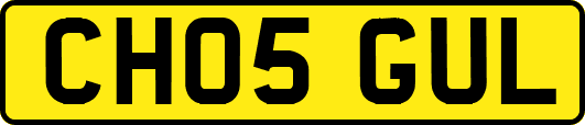 CH05GUL