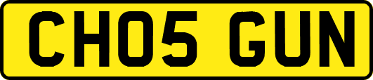 CH05GUN