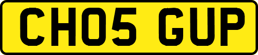 CH05GUP