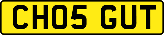 CH05GUT