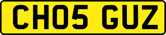 CH05GUZ