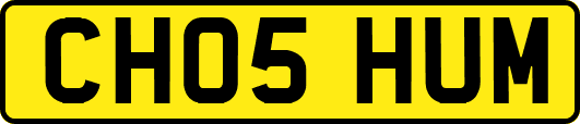 CH05HUM