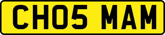 CH05MAM