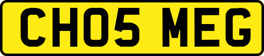 CH05MEG