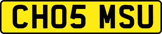 CH05MSU