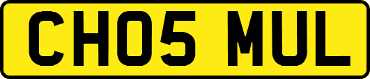 CH05MUL