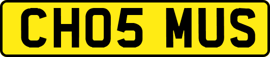 CH05MUS