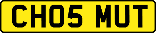 CH05MUT