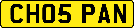 CH05PAN